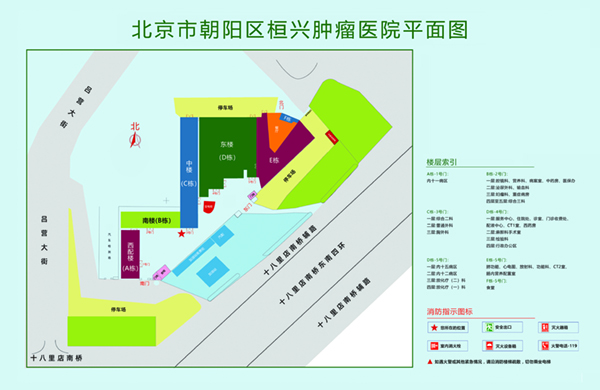 日韩黄奶子流水视频在线观看北京市朝阳区桓兴肿瘤医院平面图